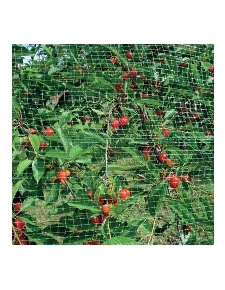 Bærnetting 2x5 m (12 g/m2)