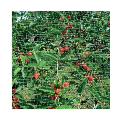 Bærnetting 4×250 m (12 g/m2)