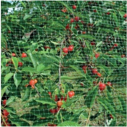 Bærnetting 4×250 m (12 g/m2)