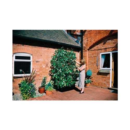 Plantekasse “Mini Grow” med ramme