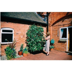 Plantekasse “Mini Grow” med ramme