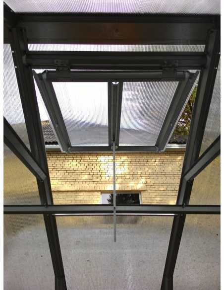 Takvindu Til Drivhus “Standard” Skrått Tak Med Plate