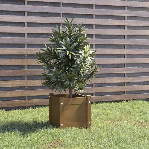 Plantekasse honningbrun 31x31x31cm furu