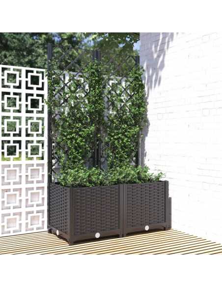 Plantekasse med espalier svart 80x40x136cm