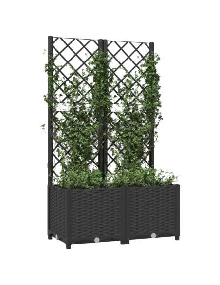 Plantekasse med espalier svart 80x40x136cm