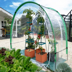 Minidrivhus "ARCTIC"