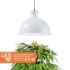 Vekstlys FLORABOOSTER "LUM 500-W"