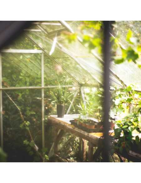 3 mm drivhusglass 610 * 610 mm