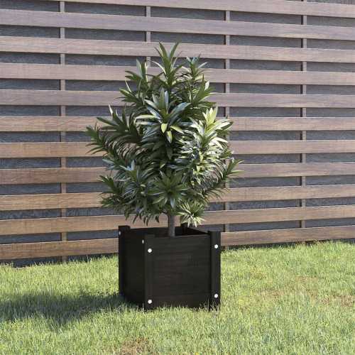 Plantekasse svart 31x31x31cm furu