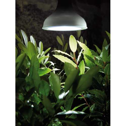 Plantelys LED-E27 18W, Nelson Garden