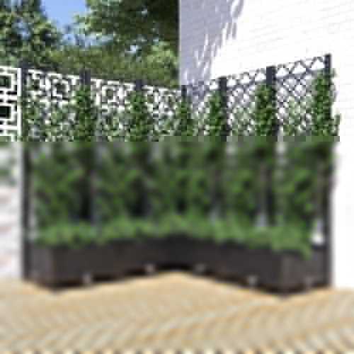 Plantekasse med espalier svart 120x120x121,5cm