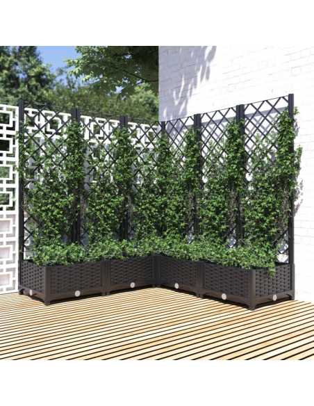 Plantekasse med espalier svart 120x120x121,5cm