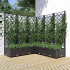 Plantekasse med espalier svart 120x120x121,5cm