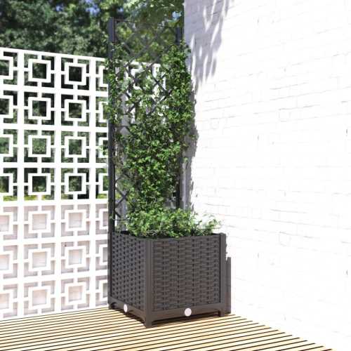 Plantekasse med espalier svart 40x40x136cm