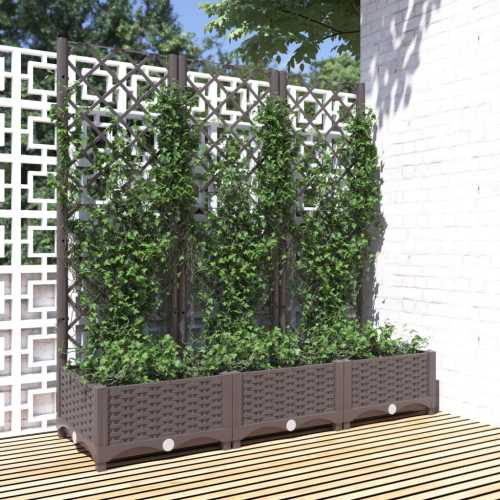 Plantekasse med espalier brun 120x40x121,5cm