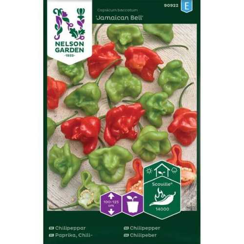 Chilipepper "Jamaican Bell" Premium Frø