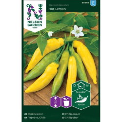 Chilipepper "Hot Lemon" Premium Frø