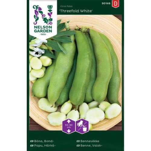 Bønnevikke "Threefold White" Premium Frø