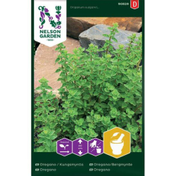 Oregano Premium Frø