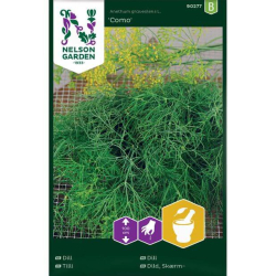 Dill "Como" Premium Frø