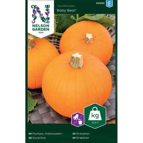 Gresskar "Baby Bear" Premium Frø