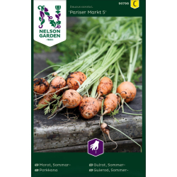 Sommergulrot "Pariser Markt 5" Premium Frø