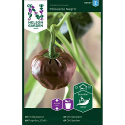 Chilipepper "Chiluacle Negro" Premium Frø