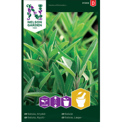 Salvie "Premium" Frø