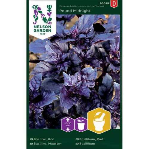 Rød Basilikum "Round Midnight" Premium Frø