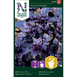 Rød Basilikum "Round Midnight" Premium Frø