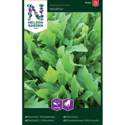 Ruccola "Wildfire" Premium Frø