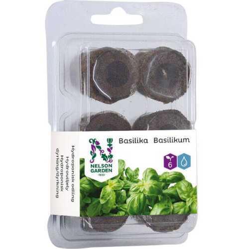 Hydroponisk planteplugg basilikum