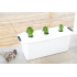 Hydroponisk Planteplugg Salat