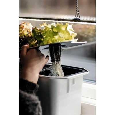 Hydroponisk Planteplugg Uten Frø