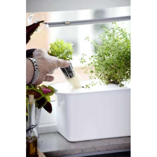 Pluggholder for hydroponisk dyrking