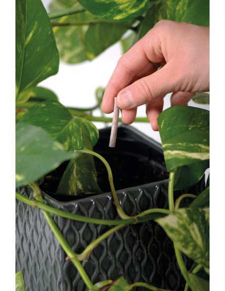 Næringspinner 40stk