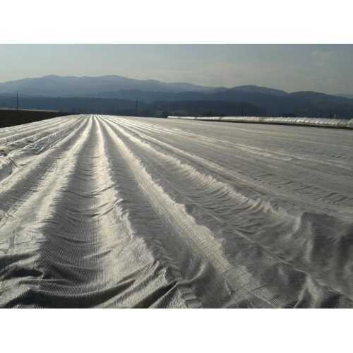 Fiberduk (6.2m x 200m)