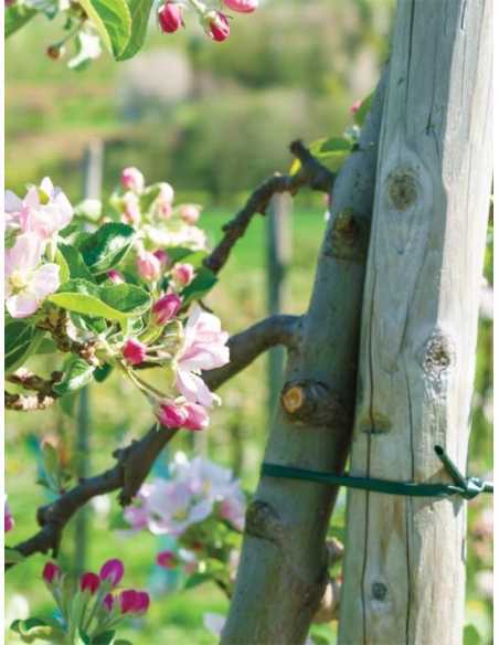 Oppbindingstråd 5mm x 50m