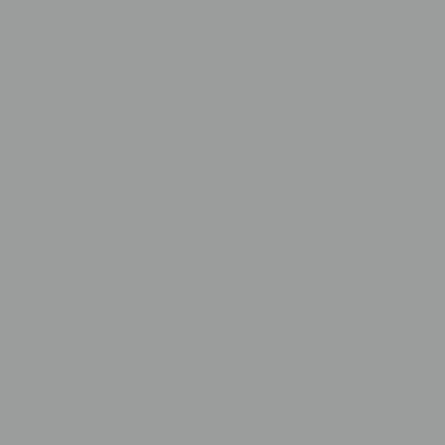 Redskapsbod med utvidet tak grå 277x110,5x181cm
