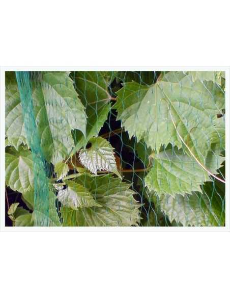 Bærnetting 2x10m (10 g/m2)