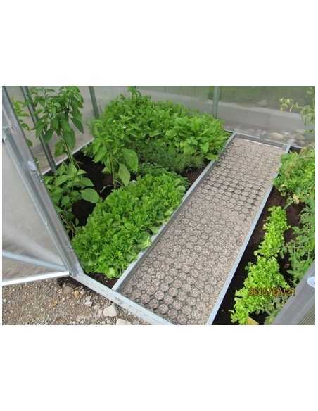 Områdeavdeler Til Drivhus ”Viking” Buet Tak Og “Viking Hus” (mellom gang og bedd)