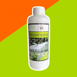 Drivhusrens konsentrat (dezinfeksjon)