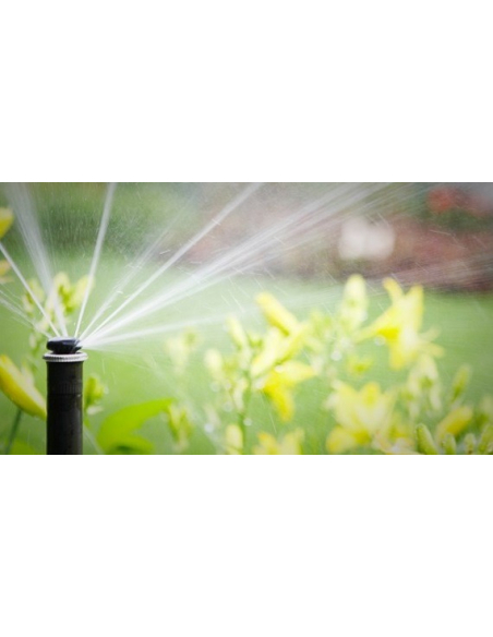 Dyse MP 1000 210-270°