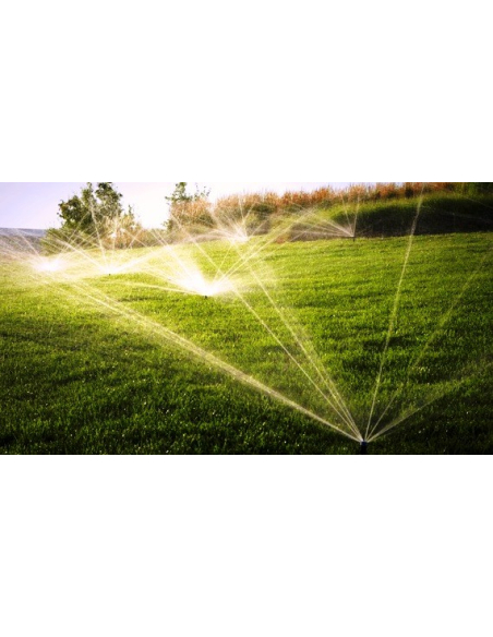 Dyse MP 1000 210-270°