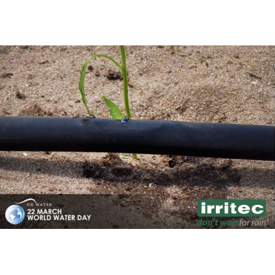 Dryppvanning rør Drip-In 44mil x 30 cm (100m)
