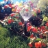 Pop-up sprinkler SL 10 PRO
