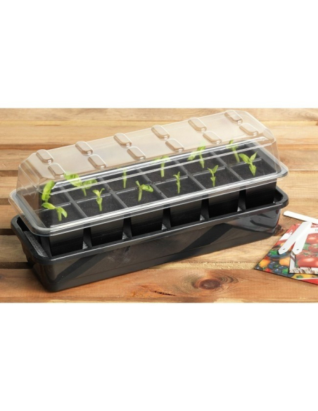 Såbrett med selvvanning 37,5 x 13,5 cm