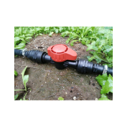 Ventil Testa Roja 1" utvendig