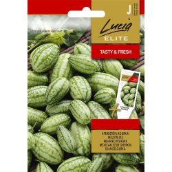 Agurk " Jungelagurk " Elite