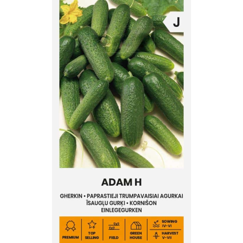 Agurk LANG ADAM H